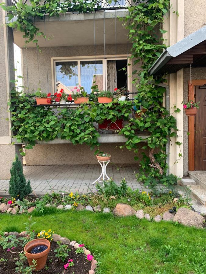 Regina House Hotel Kaunas Ngoại thất bức ảnh